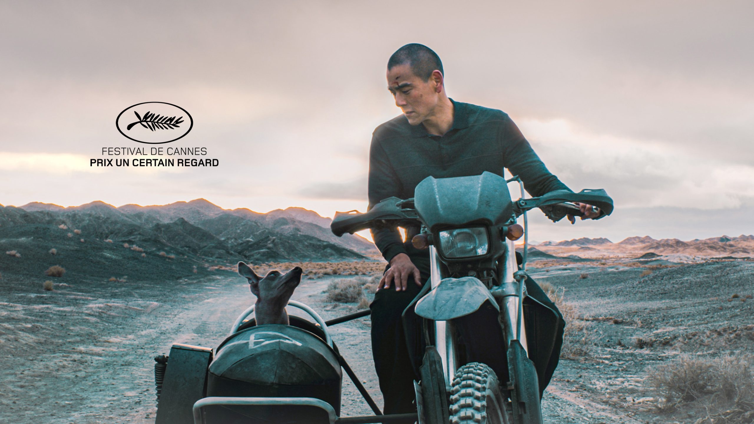 BLACK-DOG_E064C041_1801018_00536882-PS-16x9_Logo_Cannes_UCR_PRIX