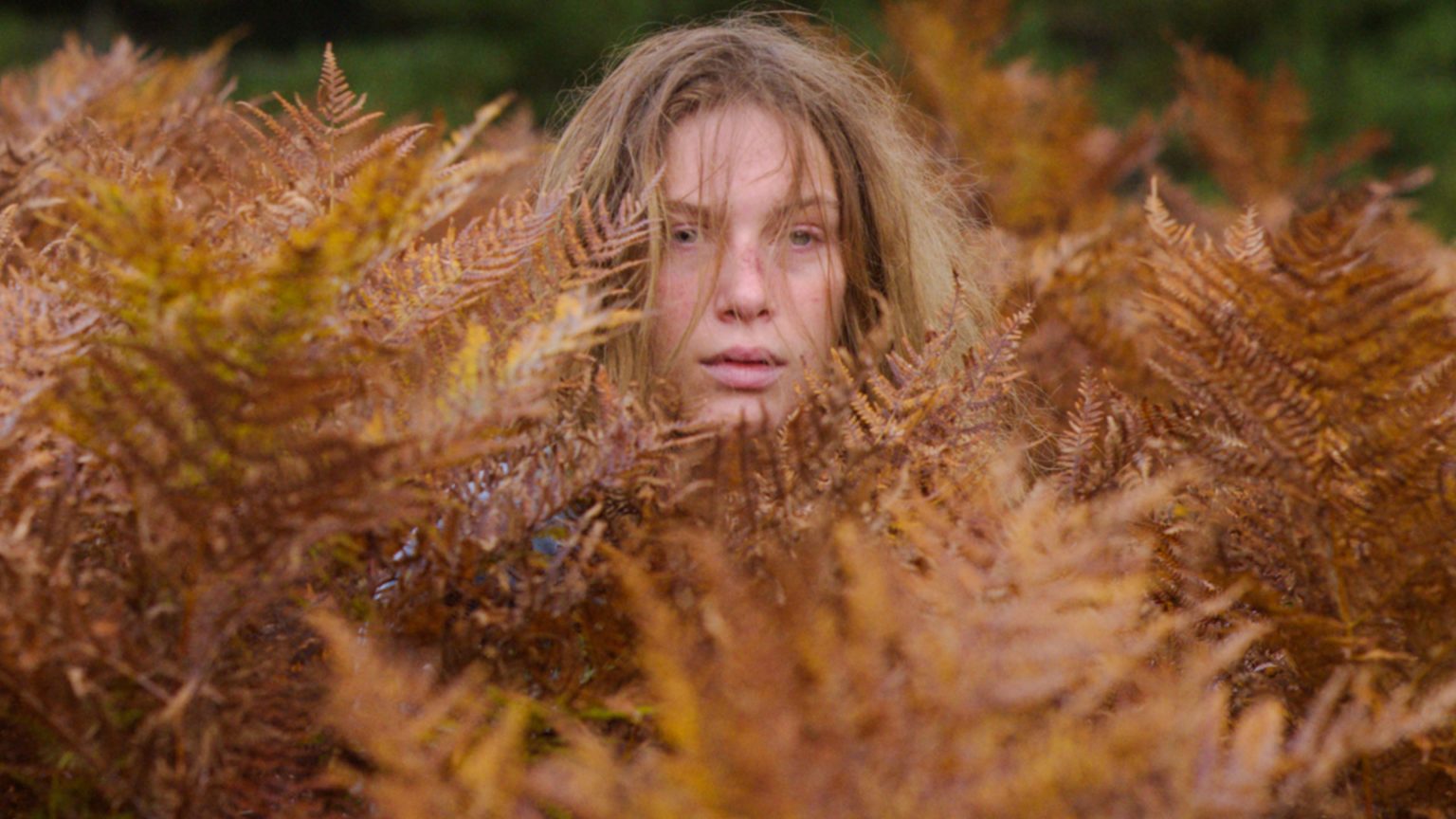 SAUVAGE_250905_StillsToProd_HD_Rec709_1.18.1